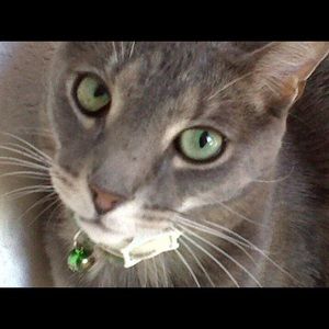 Meet your Posher, Roxanna